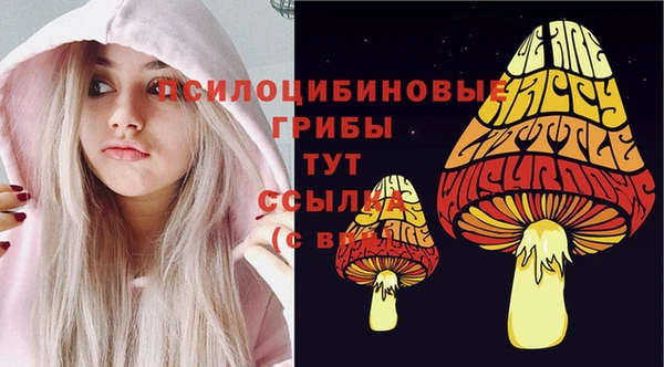 мет Балахна
